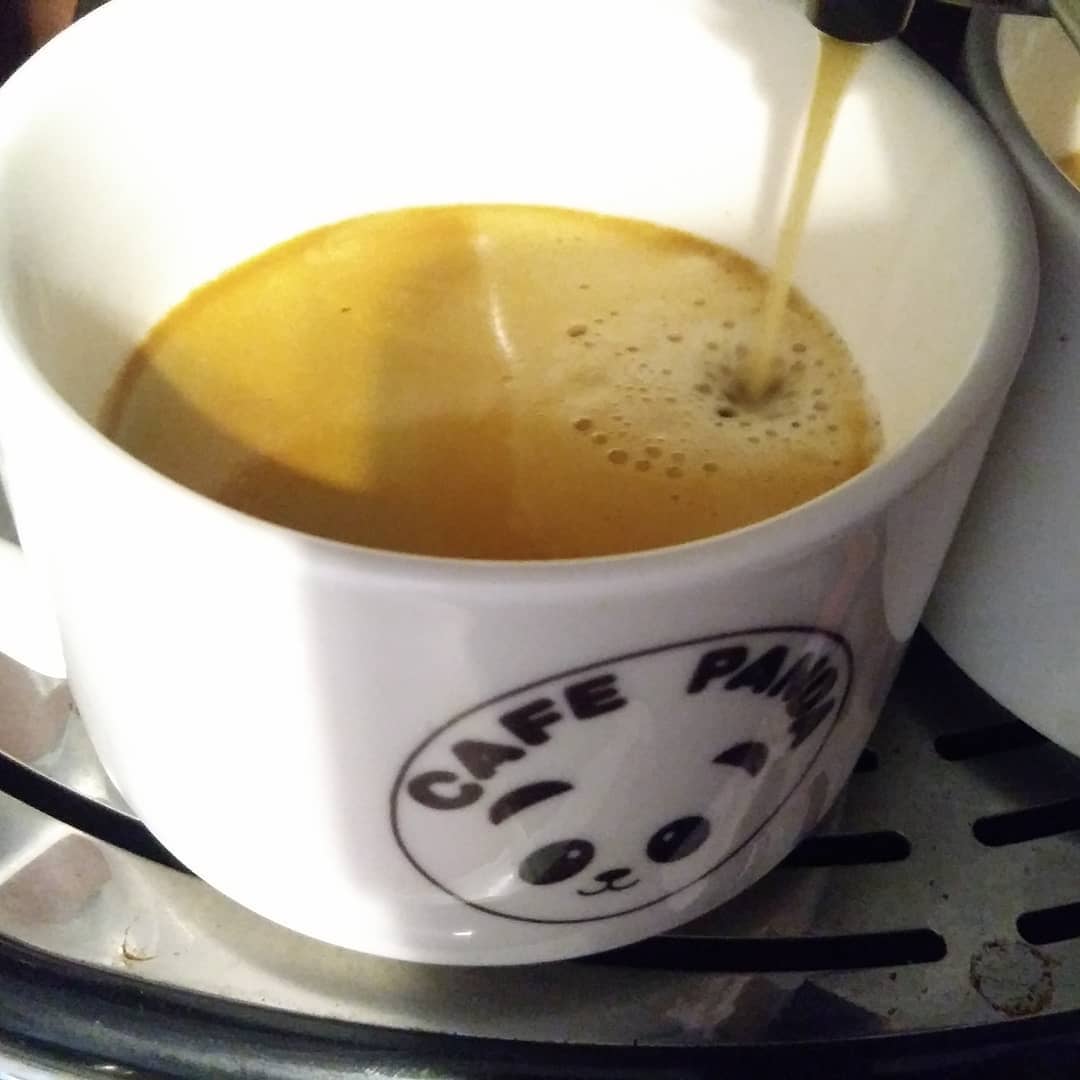 Bebidas y Café